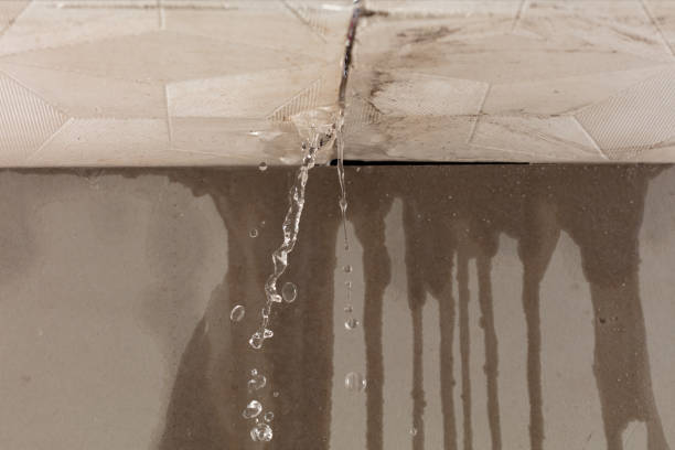 Professional Structural Drying technician working in New Caney, TX